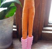 Elegant Carrot