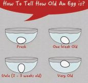 How To Tell How Old An Egg Is