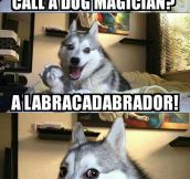 What Do You Call A Dog Magician?