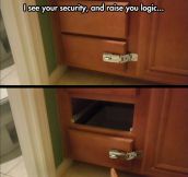 Security Vs. Logic