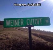 Oh No, Wrong Turn