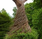 Living Willow Statue