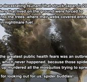 Thank You, Spiders