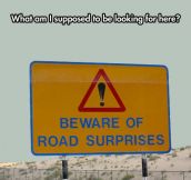 Road Surprises