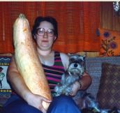 16 Disturbing Pictures Of People With Animals