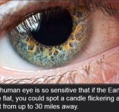 Facts You Didn’t Know About The Human Body (19 Pics)