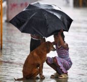 Heartwarming and Awesome Random Acts of Kindness ~ Animal Edition