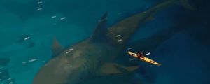 Megalodon Sharks: The Ocean Nightmare