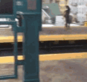 Subway Door Love