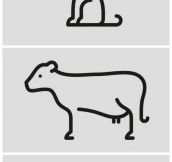 How To Draw Easy Animals