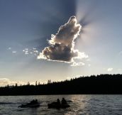Perfect Wolf Cloud