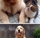The Most Adorable Best Friends Ever