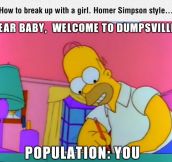 Homer Knows How To Do It