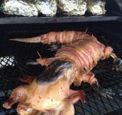 Bacon Wrapped Gator-Chicken