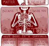 What Matters Are Your Insides