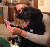 Playing Poker With My Dog