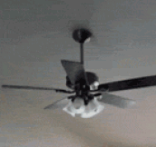 Forgot How To Ceiling Fan
