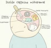 Inside Caffeine Withdrawal