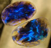 Black Opals Look Like Cosmos’s Capsules