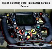 Formula One Steering Wheel