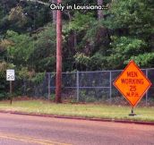 Louisiana And Its Speed Rules