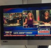 Fox Brings You All The Latest News