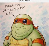 Poor Ninja Turtle