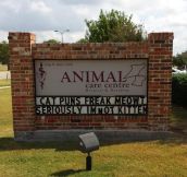 Local Animal Hospital Pun Addiction