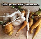 End The Impossible Standards That Grocery Store Carrots Place On Us