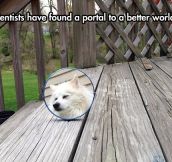 Portal To A Better World