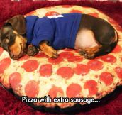 Laying On The Pizza Pillow