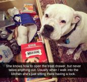 Respect The Treat Drawer