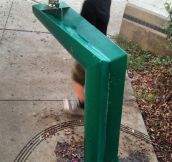 Cool Drinking Fountain
