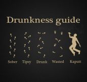 The Real Drunkenness Guide