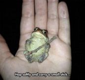 Well, Ain’t This The Cutest Little Frog?