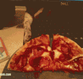 Kitten Stealing A Slice Of Pizza