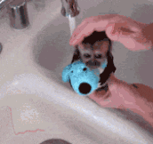 Bath Time For Monkey
