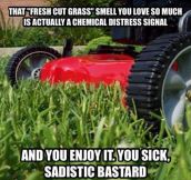There’s Nothing Like The Smell Of A Freshly Cut Lawn