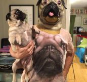 There’s Too Much Pug Going On Here