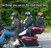 Biker Family Goes For A Ride