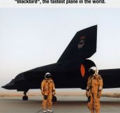 The Fastest Pilots In The World