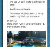 This Only Happens In Canada