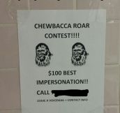 Roar Contest
