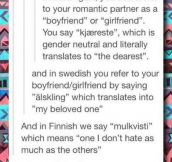 Gotta Love Finland