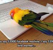 Bird Devices Are Expensive
