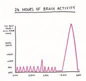 24 Hours Of Brain Activity