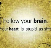 Follow Your Brain