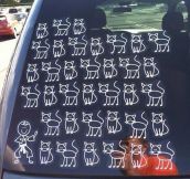 Crazy Cat People Spotted