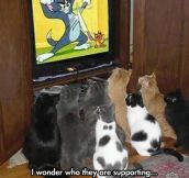 These Guys Love Tom And Jerry