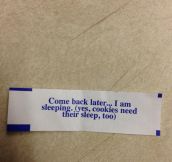 Lazy Fortune Cookie